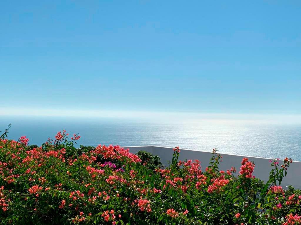 Encanto Acapulco Zewnętrze zdjęcie
